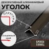 Алюминиевый анодированный декоративный уголок ПН 30х30мм бронза/глянец длина 2,7 м. фото 3 &mdash; DIELE