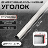 Алюминиевый анодированный декоративный уголок ПН 40х40мм серебро/мат длина 2,7 м. фото 1 &mdash; DIELE