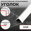 Алюминиевый анодированный декоративный уголок ПН 20х20мм белый длина 2,7 м. фото 3 &mdash; DIELE